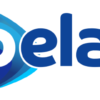 Pelaa Casino